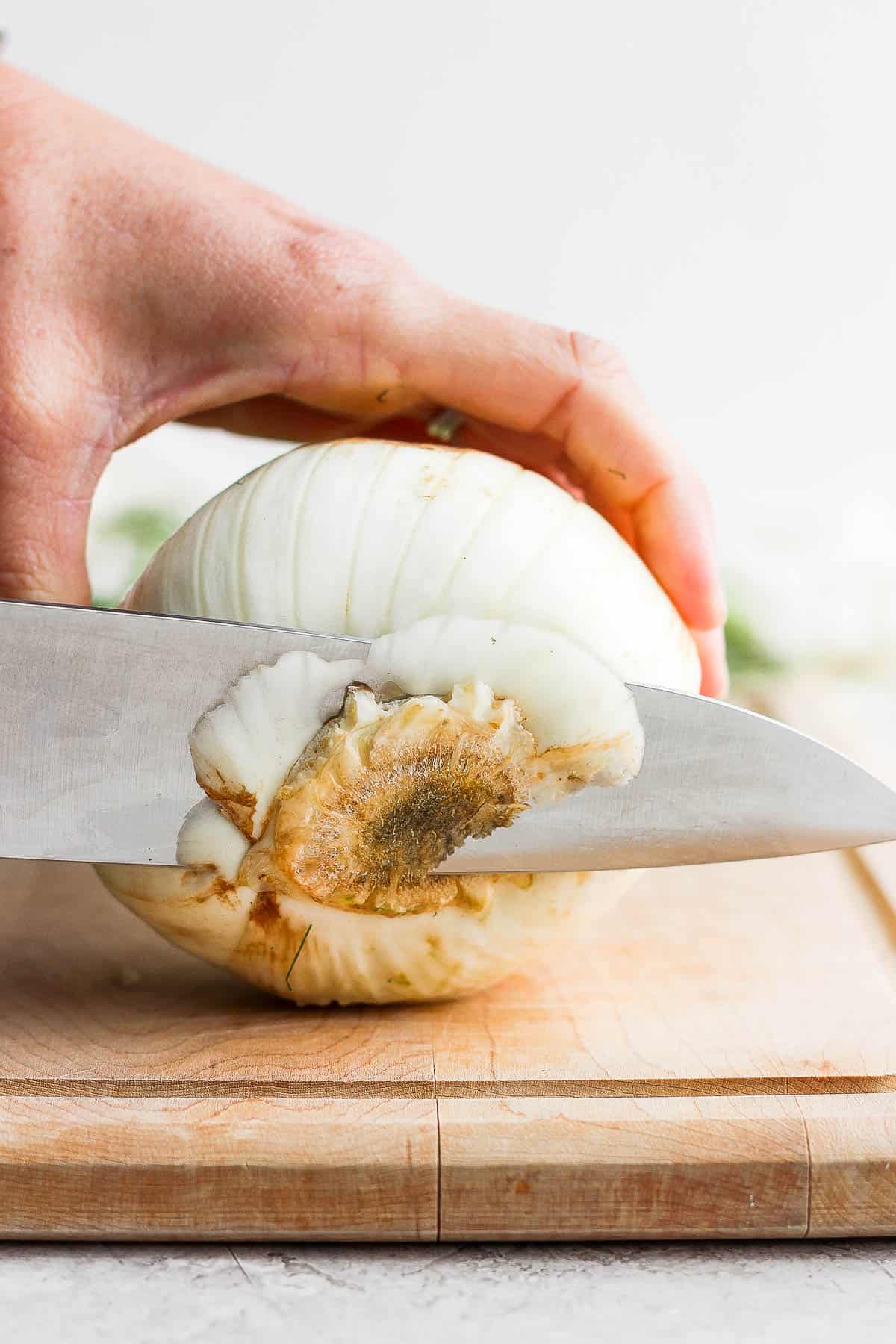 Someone cutting off the very end of a fennel bulb.
