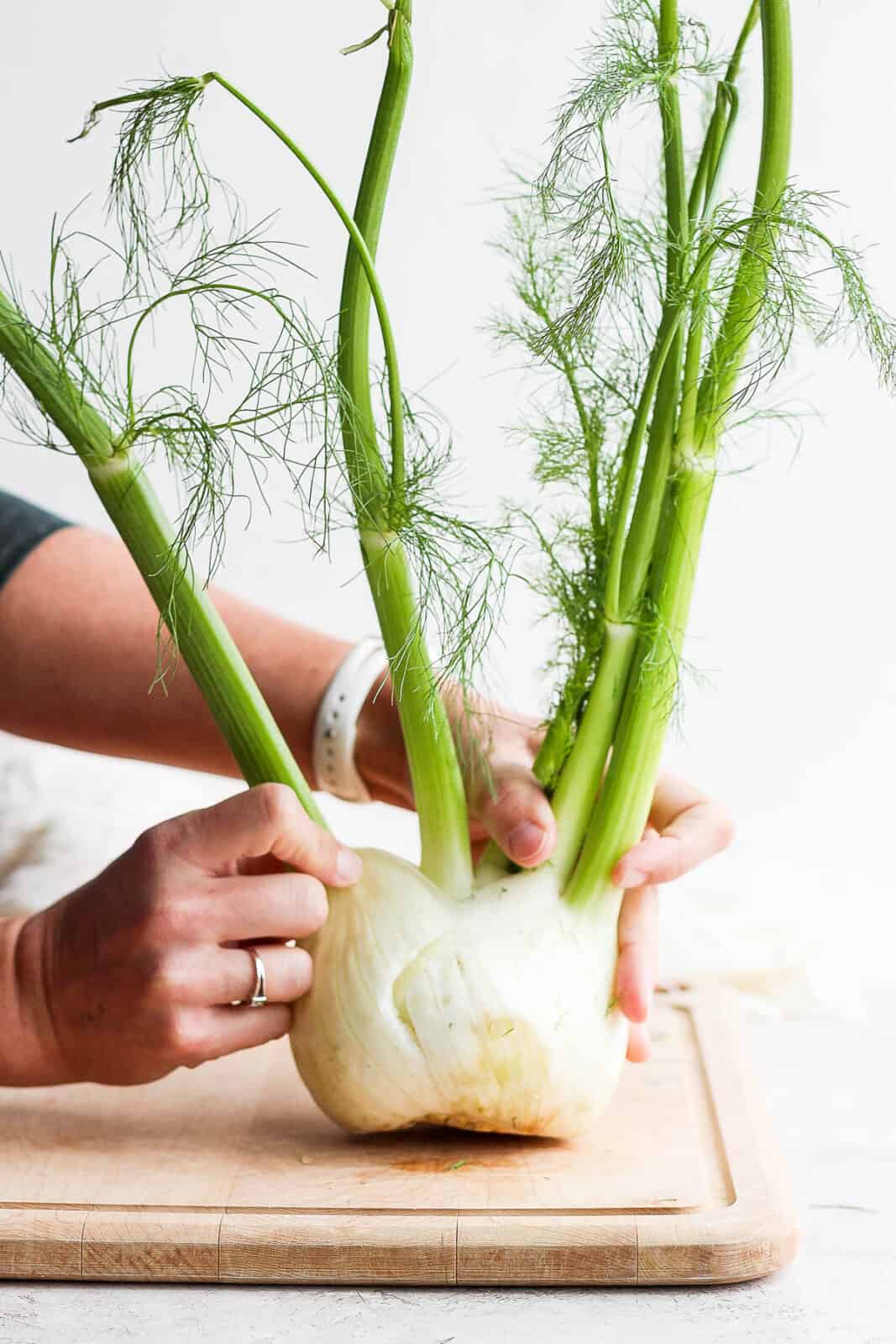 Someone pulling off the outer part of fennel bulb. 