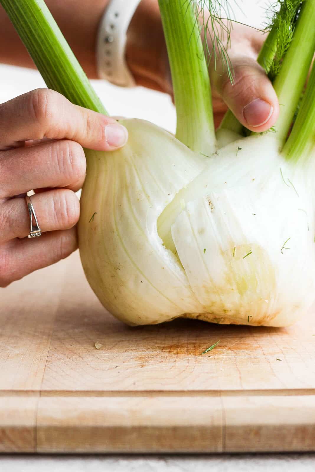 Close-up of pulling off a piece of fennel bulb. 
