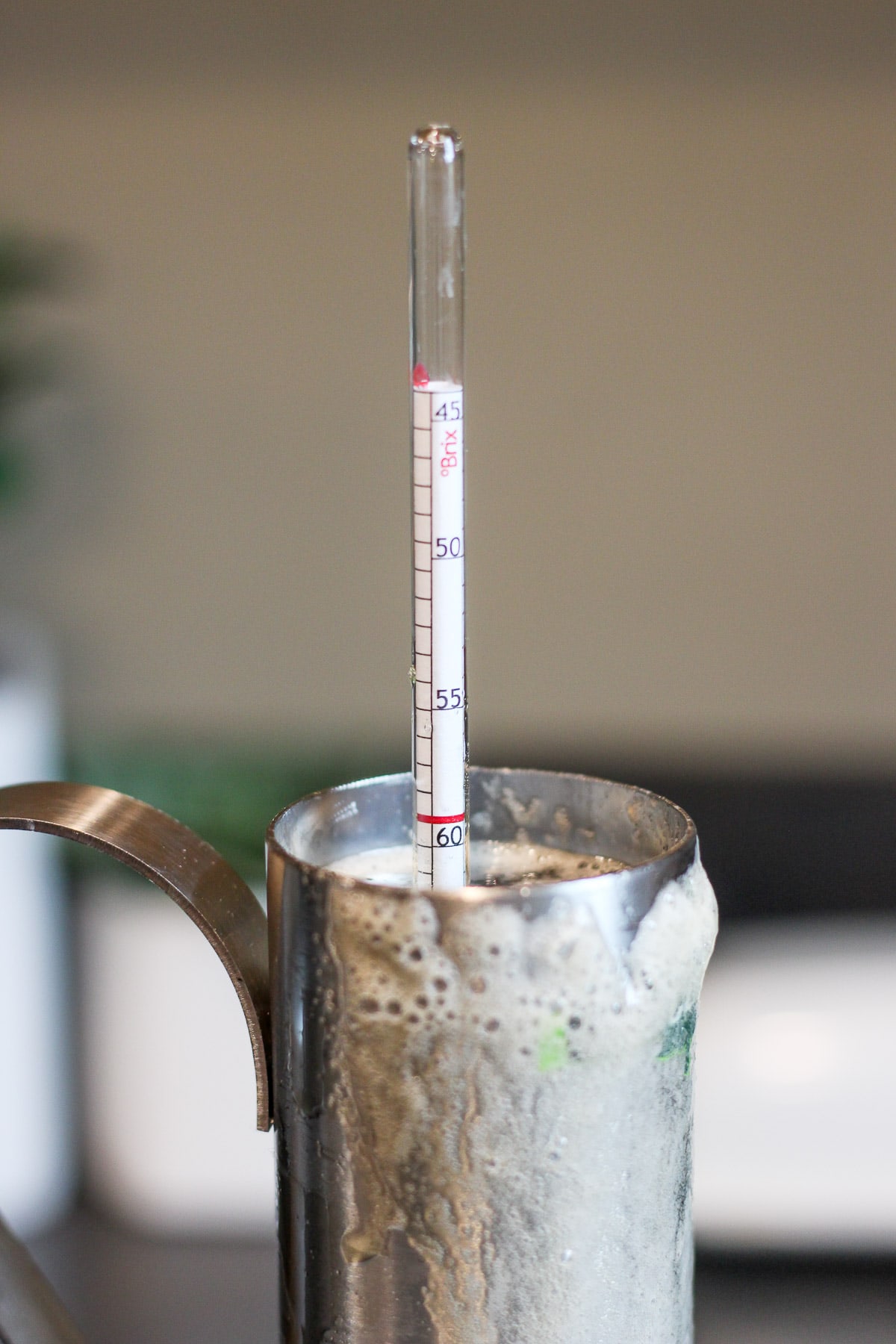 A hydrometer testing sugar content of maple syrup. 