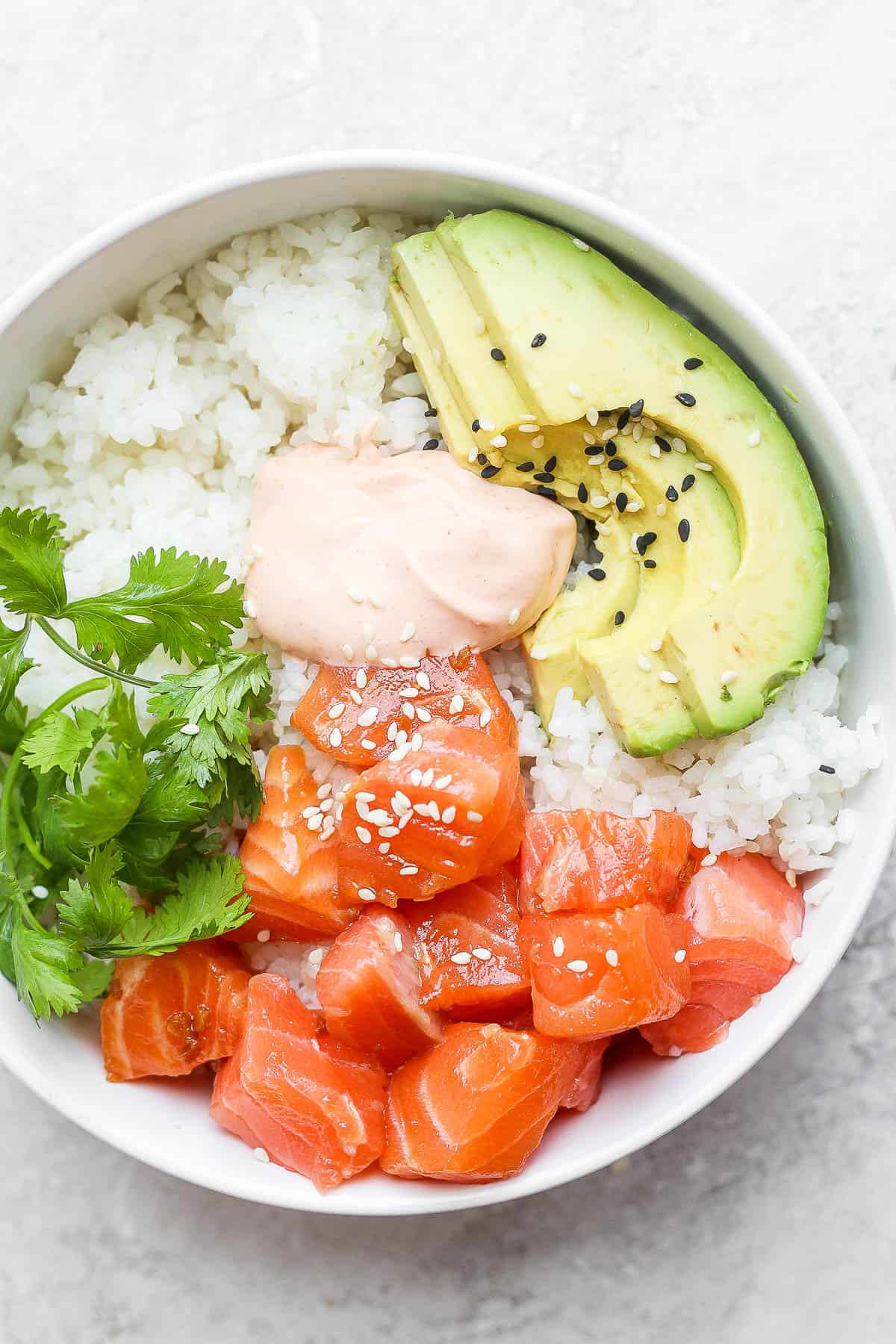 raw salmon with rice