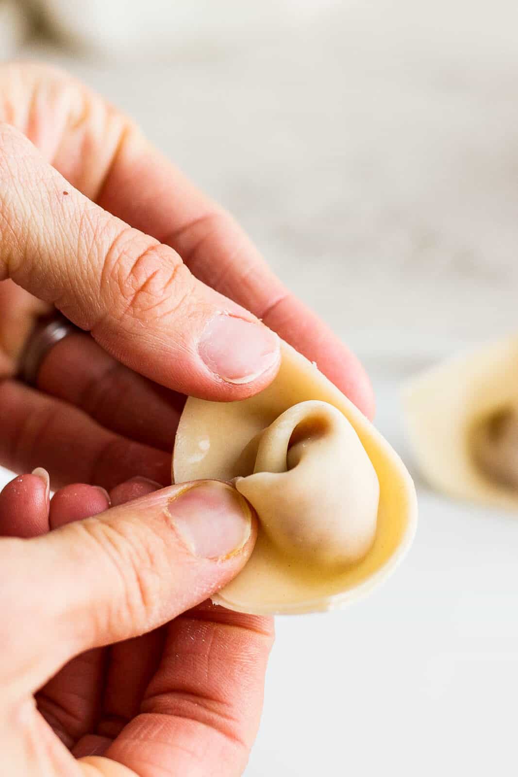 Someone holding a completed pork wonton. 