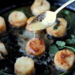 Brown-Buttered Scallops. Perfect dinner for valentine's day or any special occasion! thewoodenskillet.com