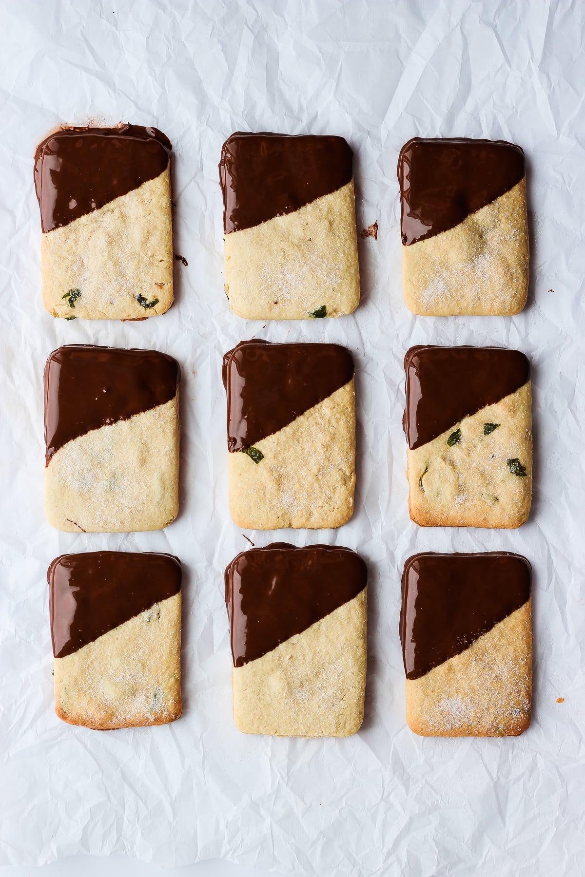 Nine vegan shortbread cookies half dipped in chocolate and placed on parchment paper.