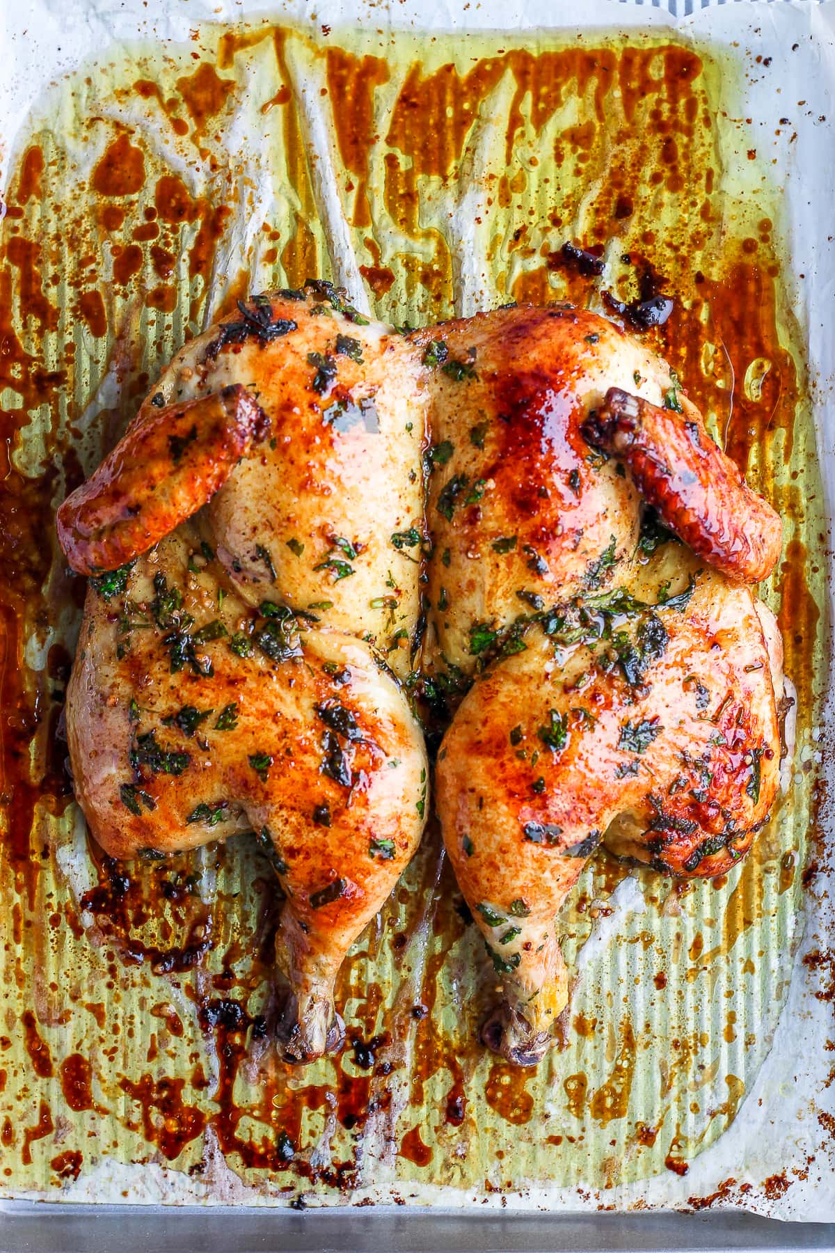 A close up of a roasted spatchcock chicken on a parchment-lined baking sheet.