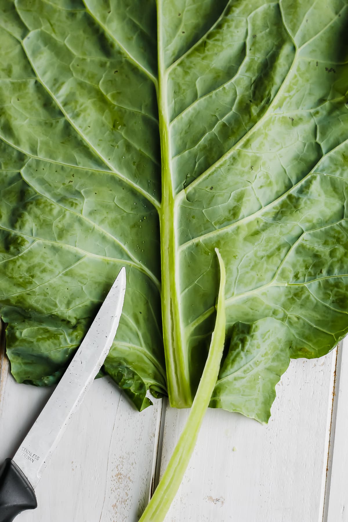 A large collard green leaf with the stem removed.