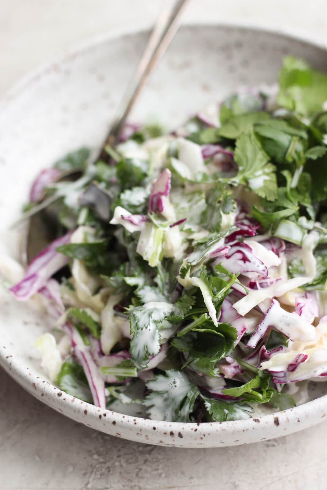 Spicy purple cabbage coleslaw in a bowl with a spoon.