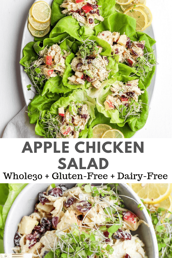 Healthy Chicken Salad (Whole30 + Paleo) - The Wooden Skillet