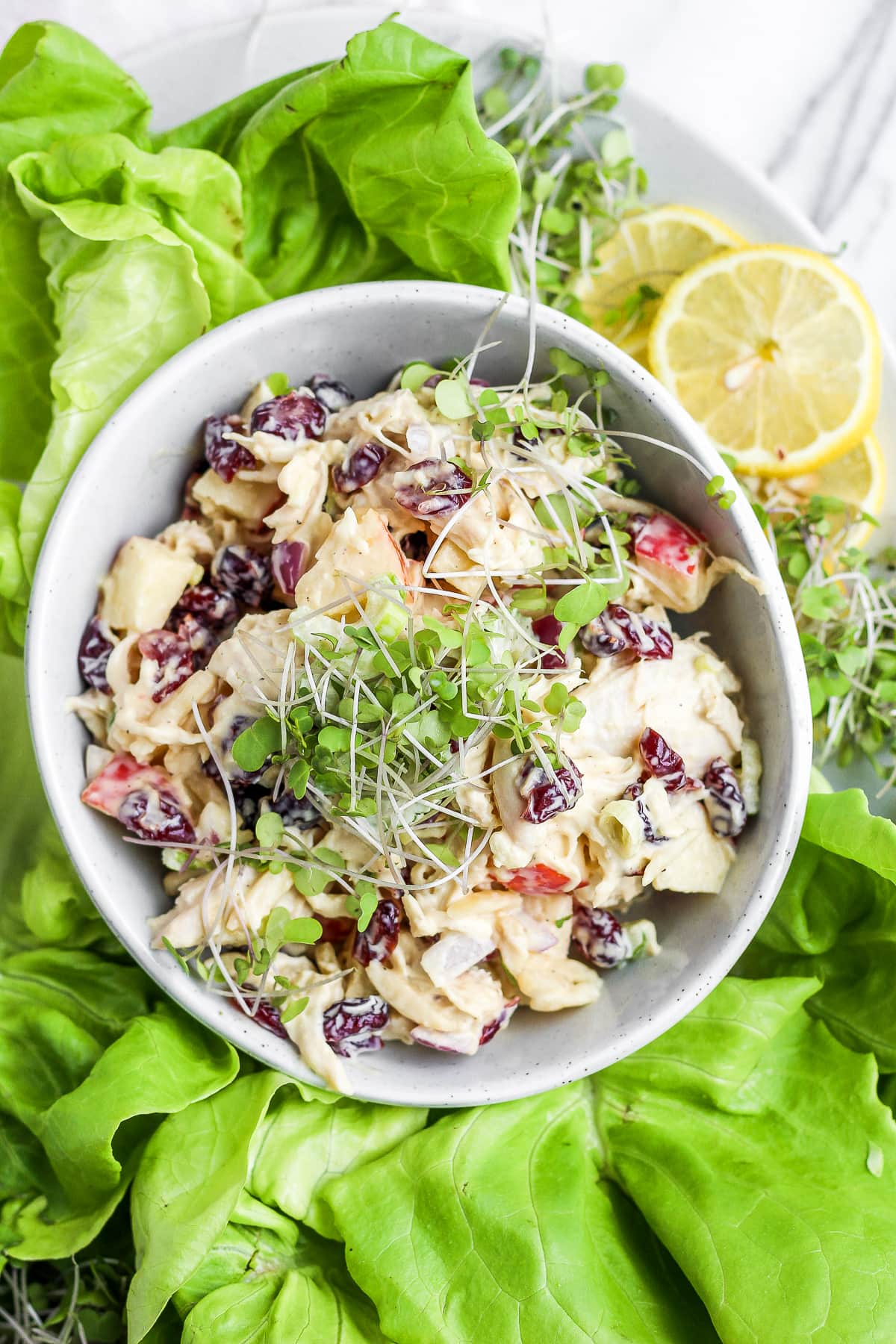 A bowl of healthy chicken salad with greens around it.