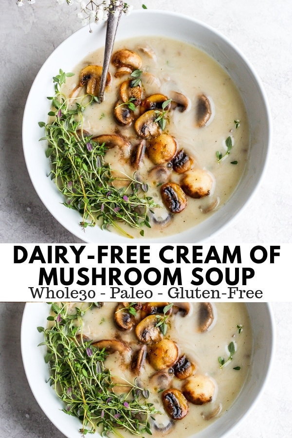 Dairy Free Cream of Mushroom Soup 