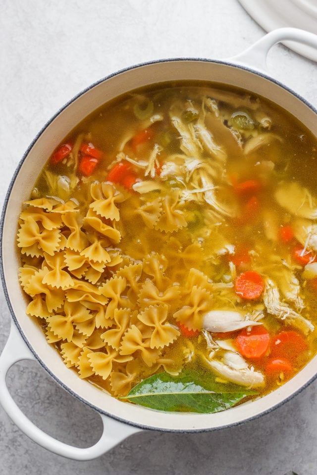 A Dutch Oven filled with homemade chicken soup with noodles.
