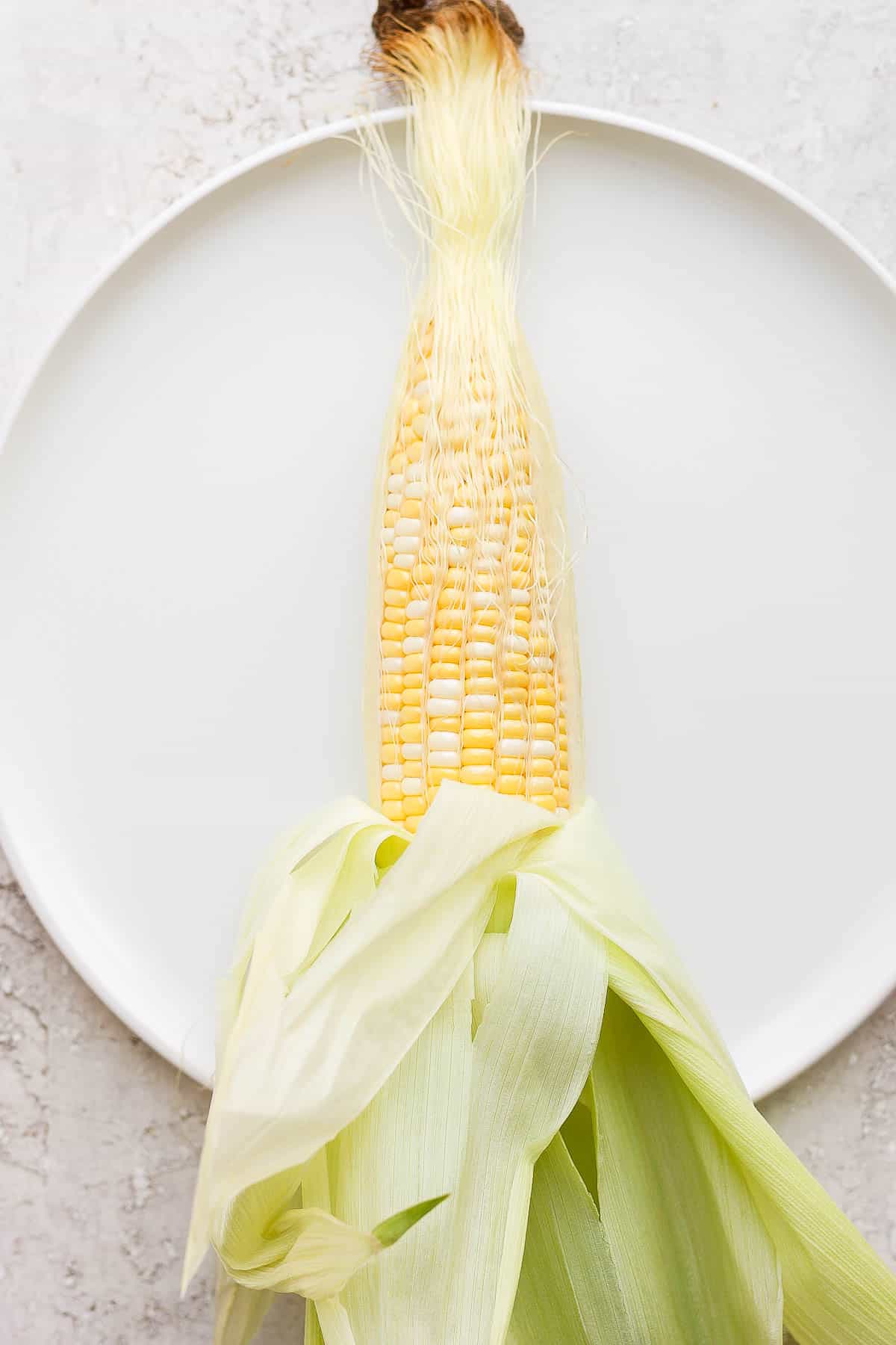 One piece of sweet corn on a plate with husk removed.