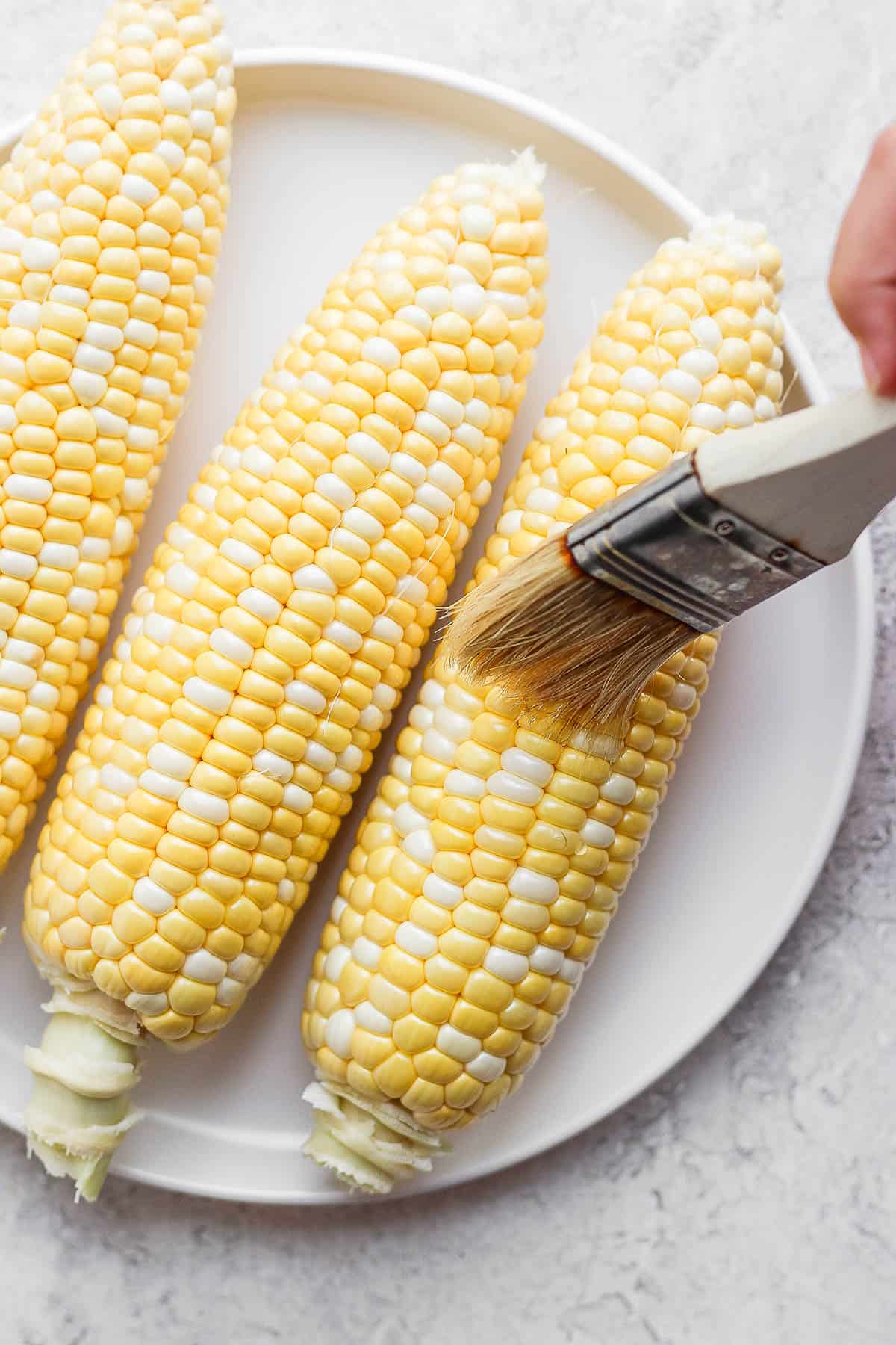Someone brushing olive oil on a piece of sweet corn before cooking. 