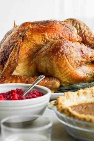 Grilled turkey on a platter.