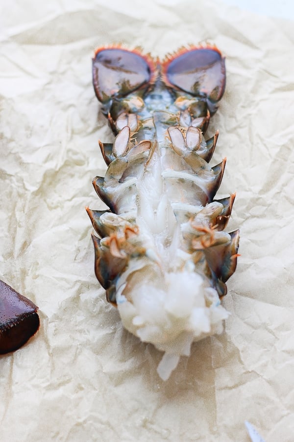 A thawed lobster tail on parchment paper with the underside cut through.