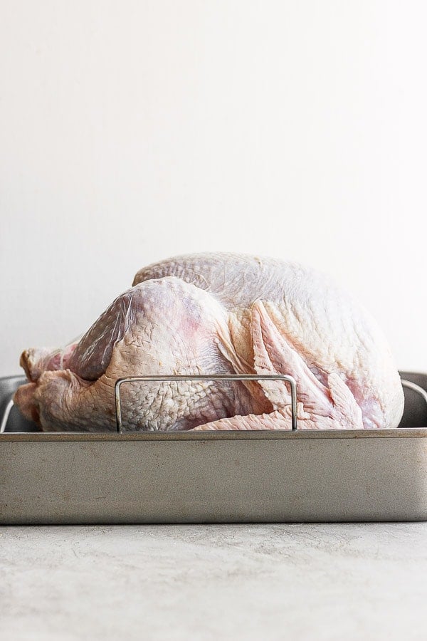 A raw turkey sitting in a roasting pan. 
