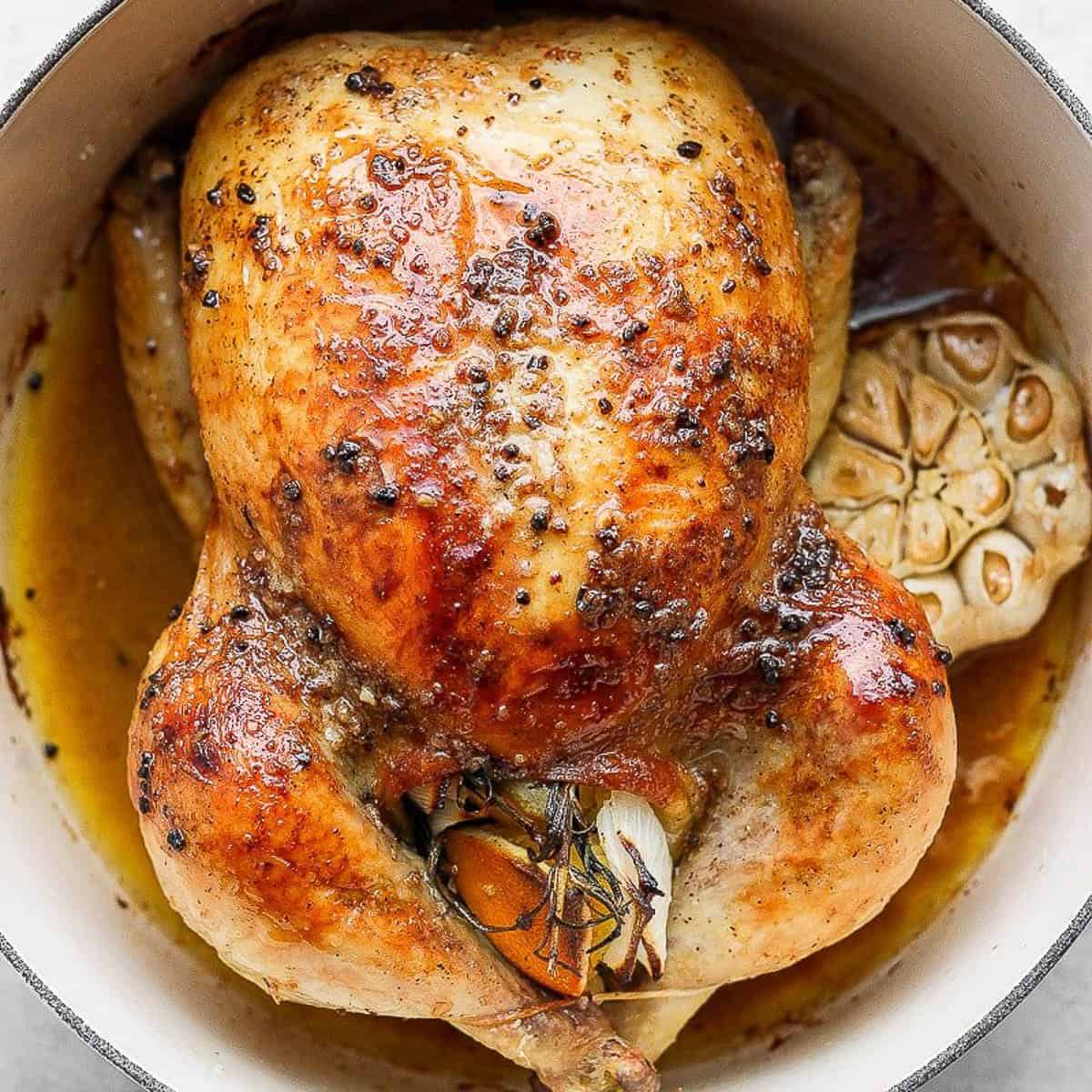 Top shot of a whole roasted chicken in a Dutch oven with a head of garlic next to it.