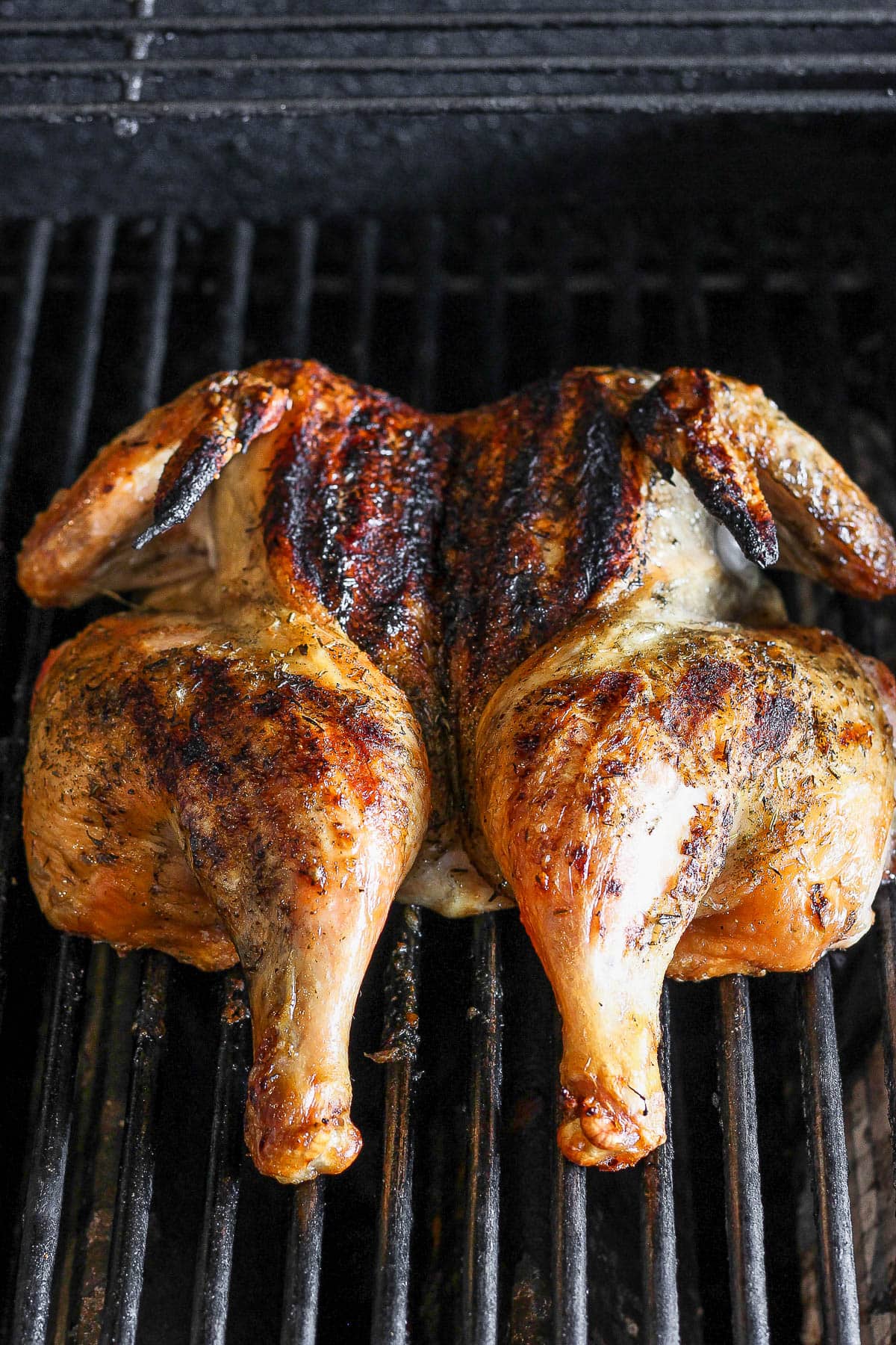 A spatchcock chicken on the grill. 