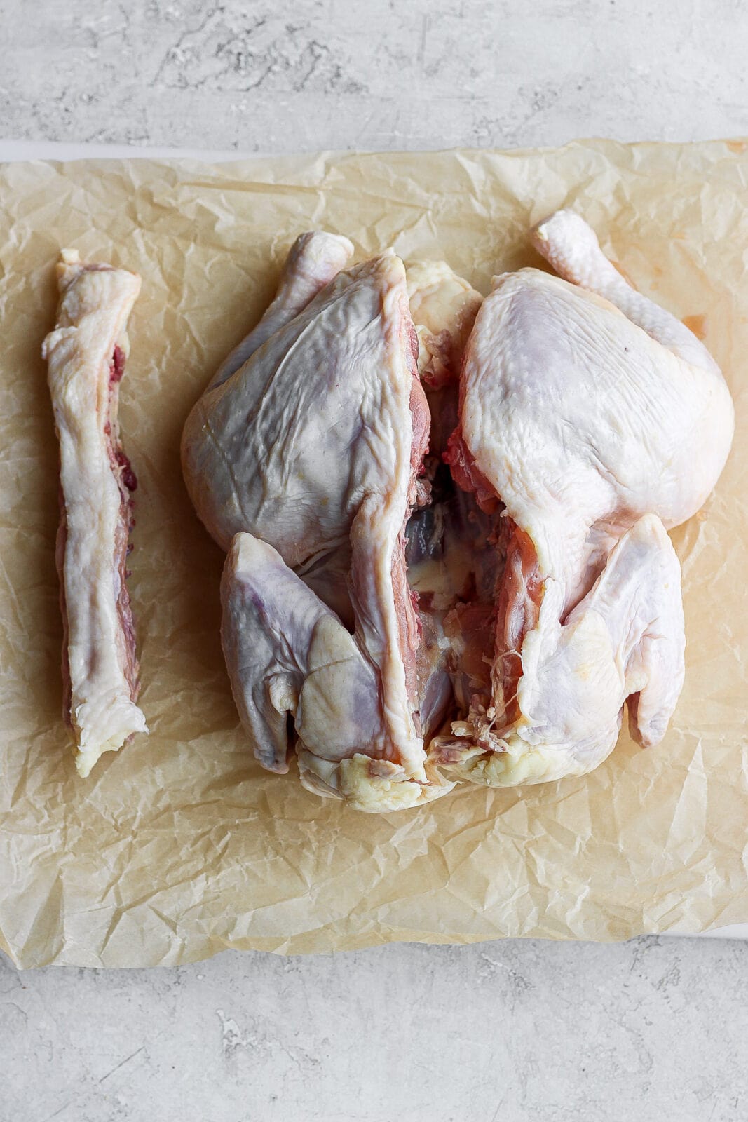 The backbone cut out of the chicken and sitting next to the chicken.