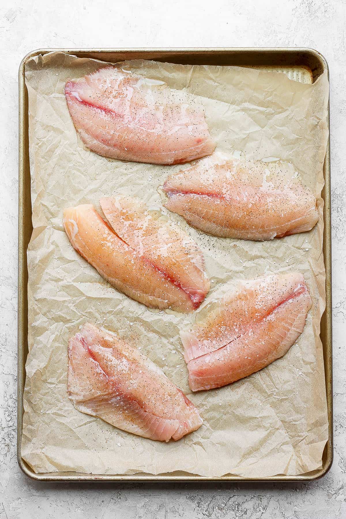 Raw tilapia fillets with olive oil, salt, & pepper on a parchment-lined baking sheet.