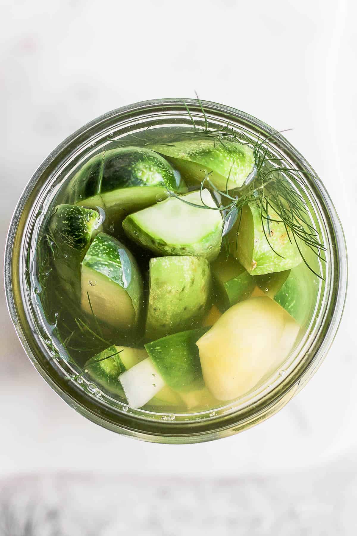 A top view of a jar of refrigerator pickles. 