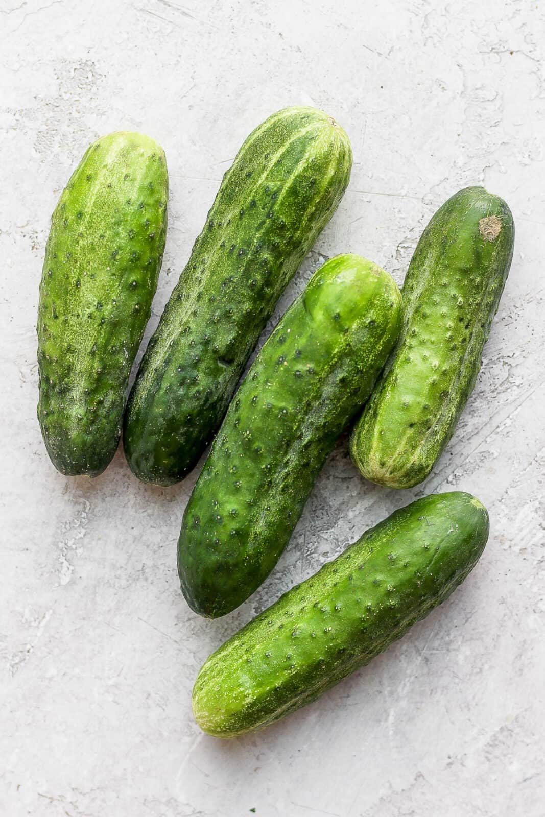 Pickling cucumbers.
