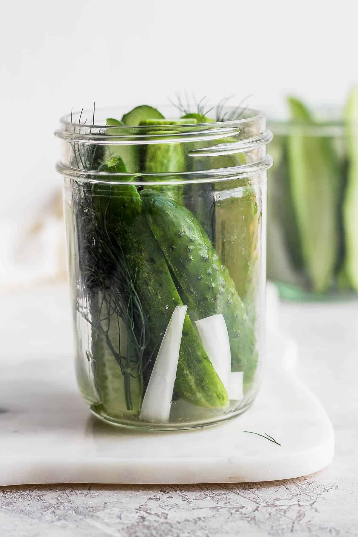 Straight on view of mason jar with cucumbers, onion and fresh dill inside. 