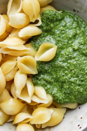 Bowl of vegan pesto with cooked shells.