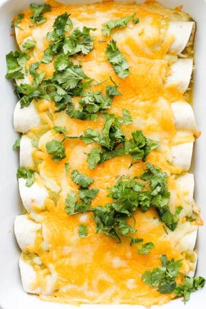 Pan of green chicken enchiladas with cilantro on top.