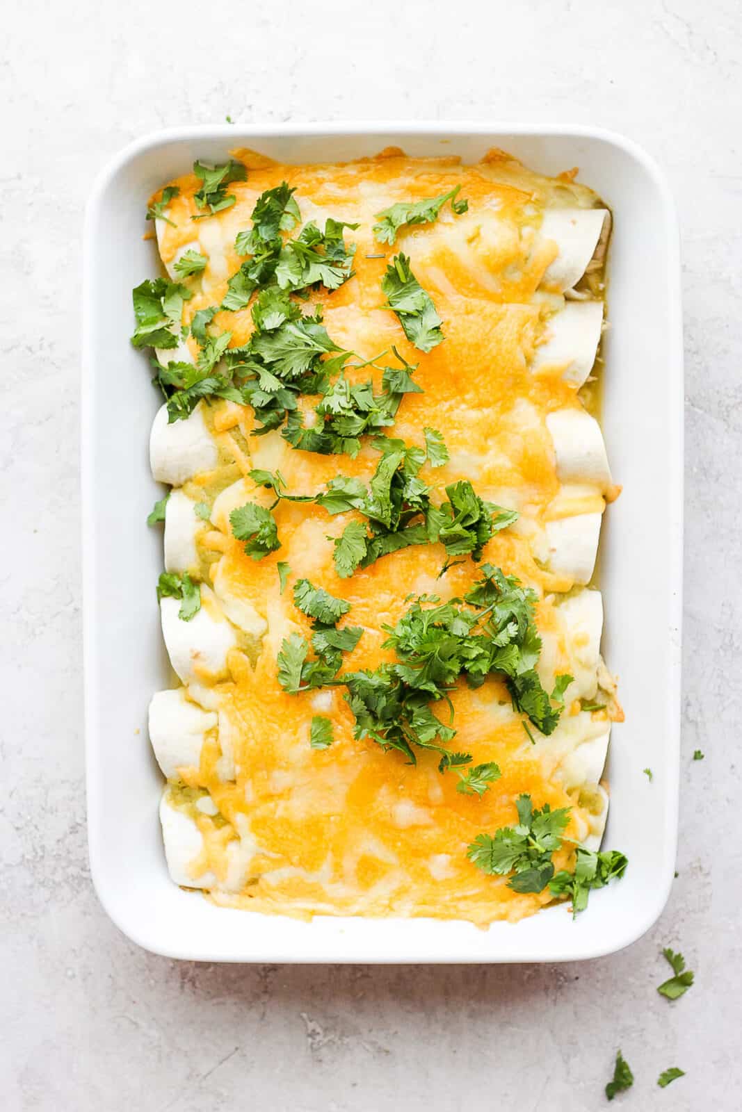 Green Chicken Enchiladas in baked in a pan with cilantro on top.
