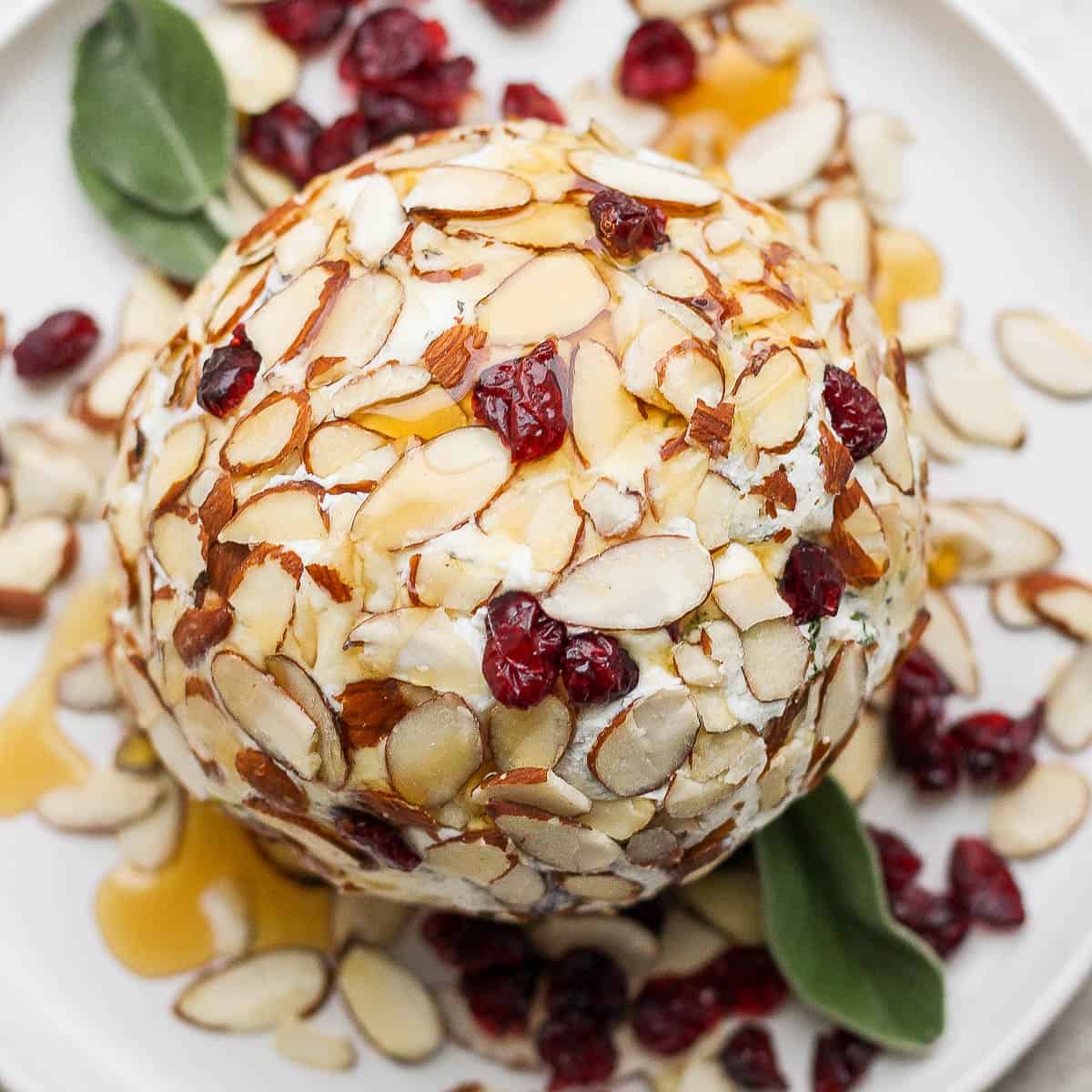 A goat cheese ball coated with slivered almonds and cranberries on a plate with some sage leaves and honey.