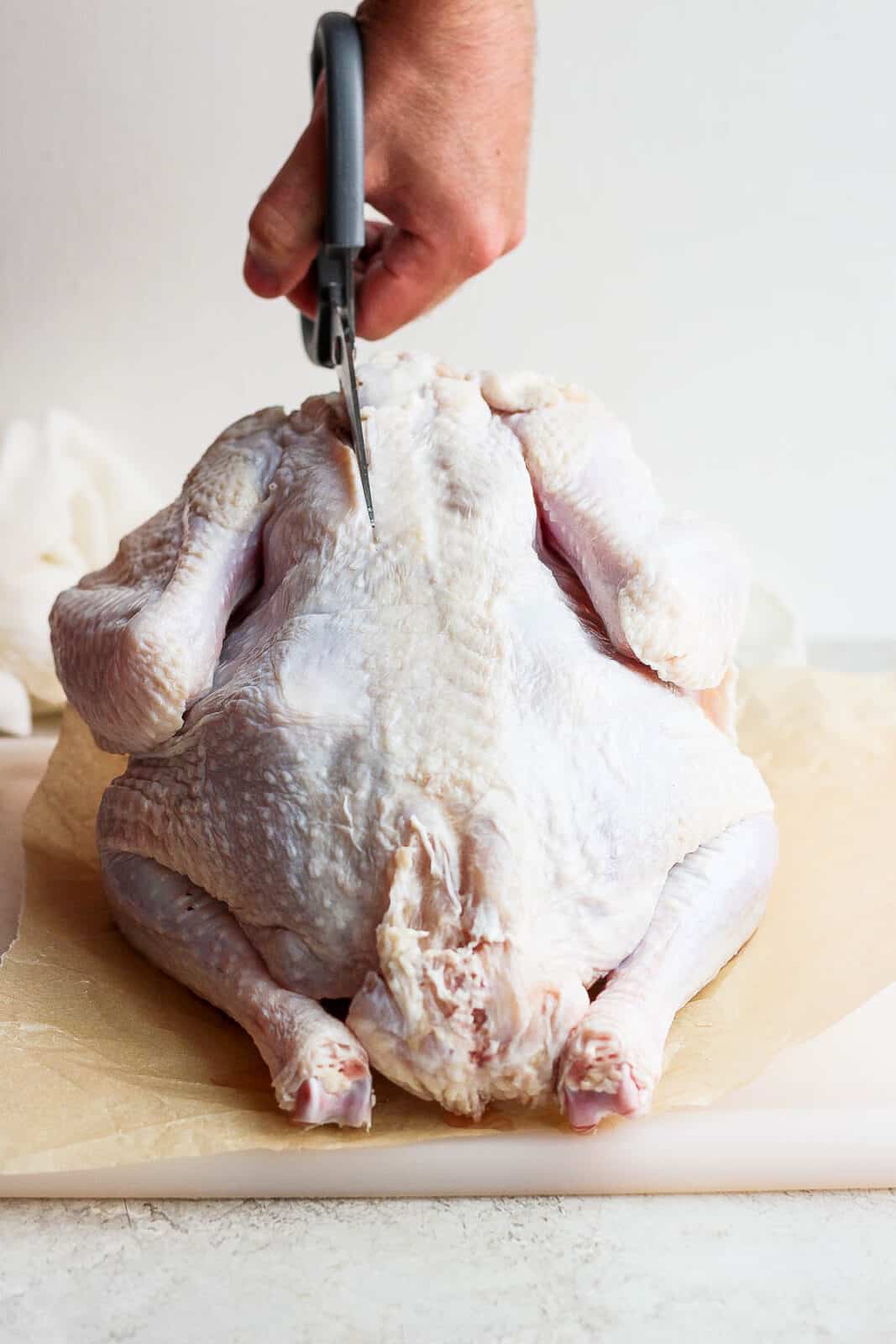 Sharp kitchen shears cutting into a whole turkey near the backbone.