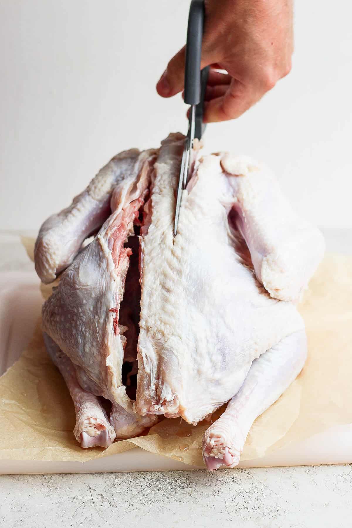 Someone cutting along either side of a turkey backbone as they spatchcock it. 