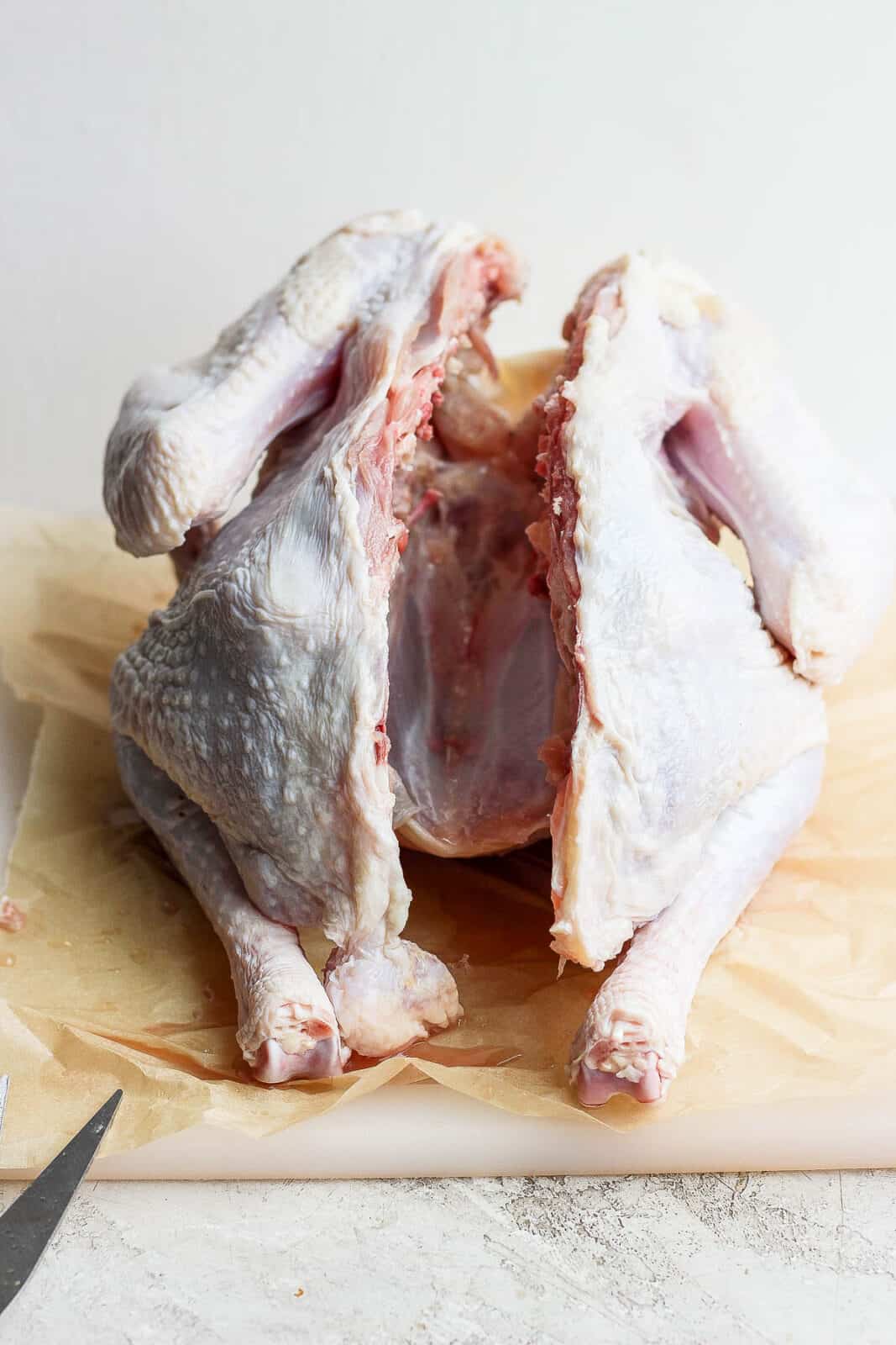 A raw turkey with its backbone removed.