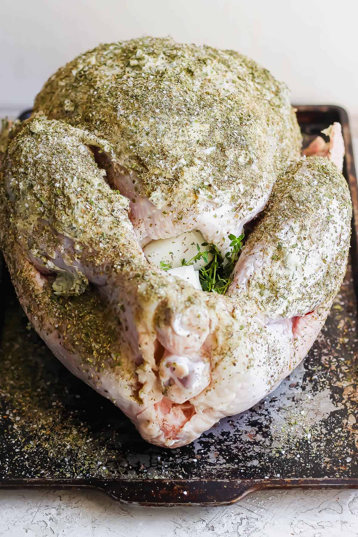 A whole, raw turkey on a baking sheet covered in butter and a turkey dry rub. 