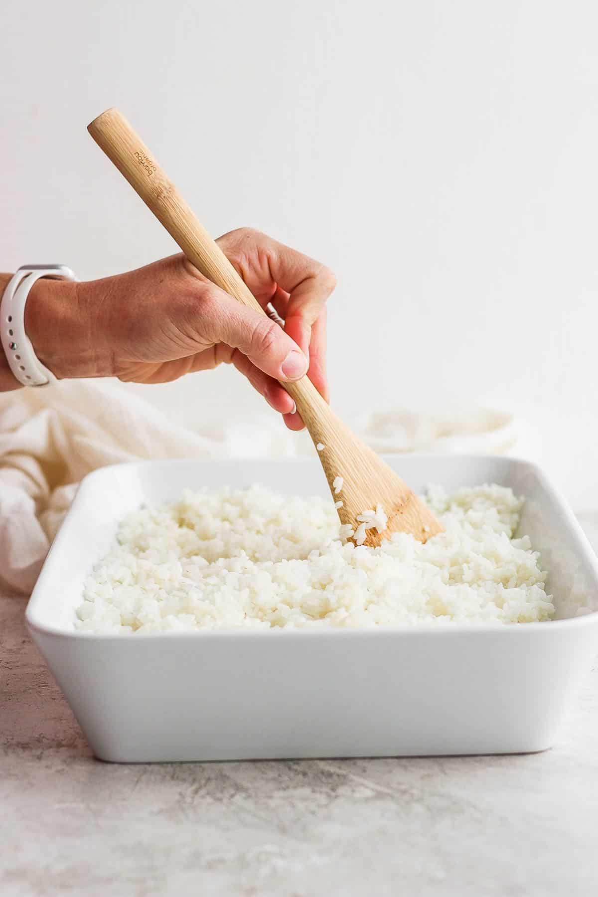 A wooden paddle cutting through the cooked rice to spread the sushi vinegar.