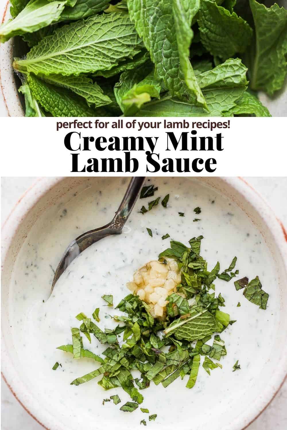 Pinterest image for lamb sauce.