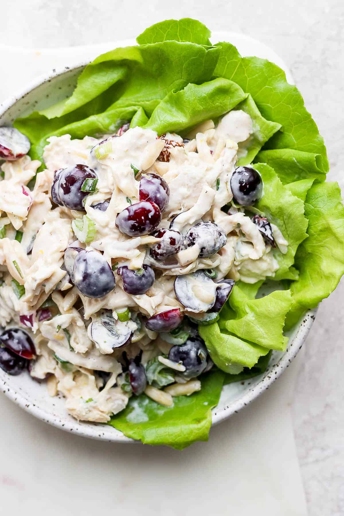 Greek Yogurt Chicken Salad on top of butter lettuce in a white bowl.