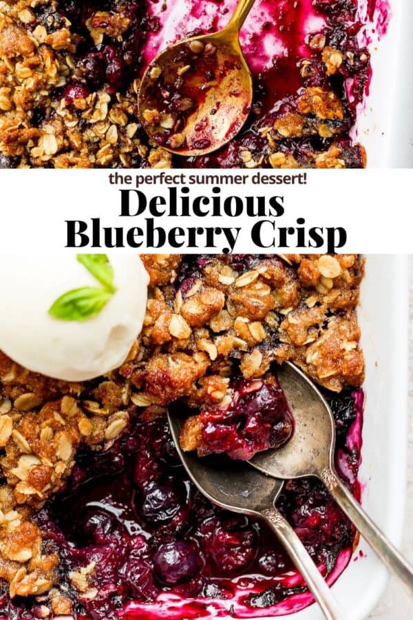Easy Blueberry Crisp - The Wooden Skillet