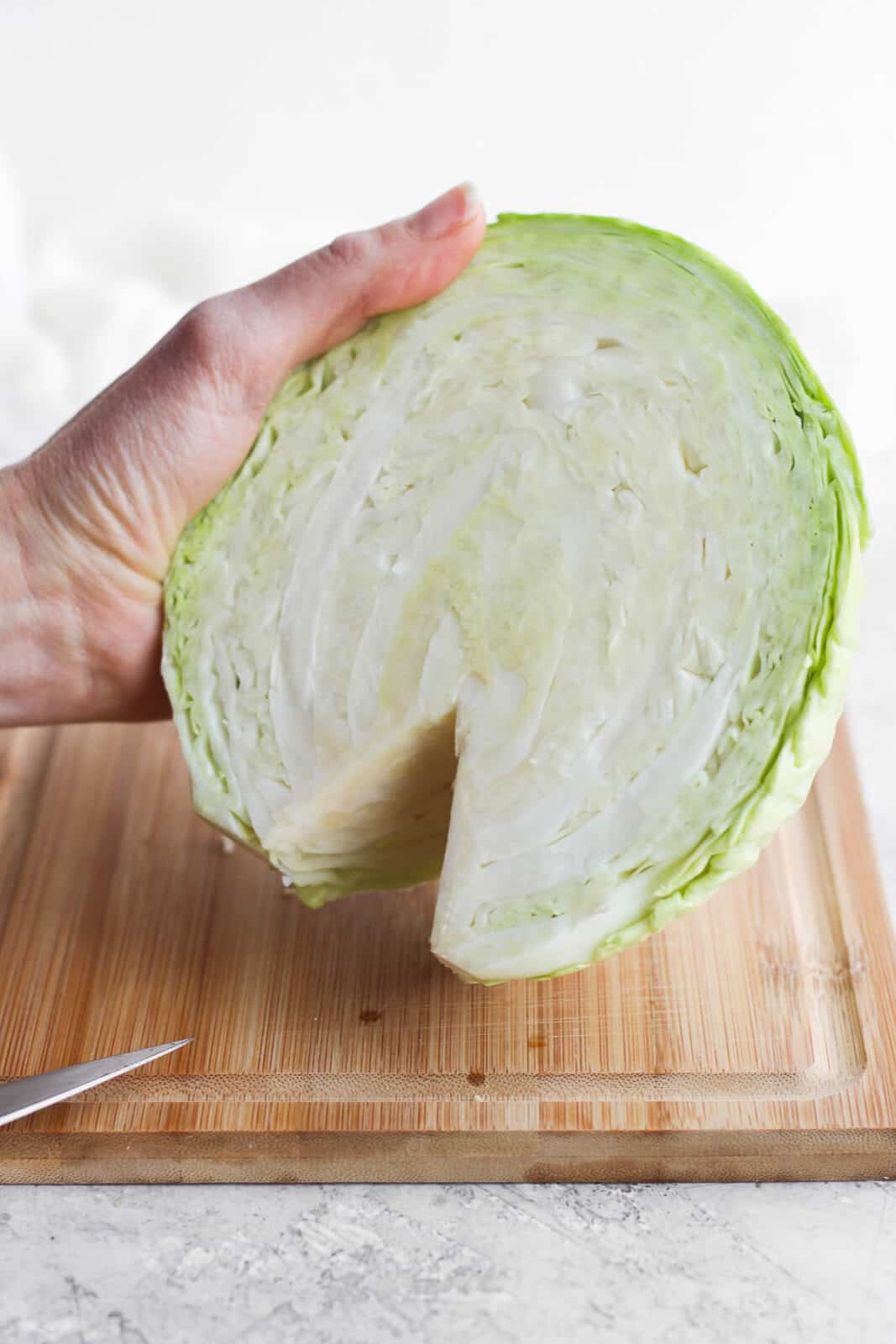 A hand holding a cabbage half with the core removed.