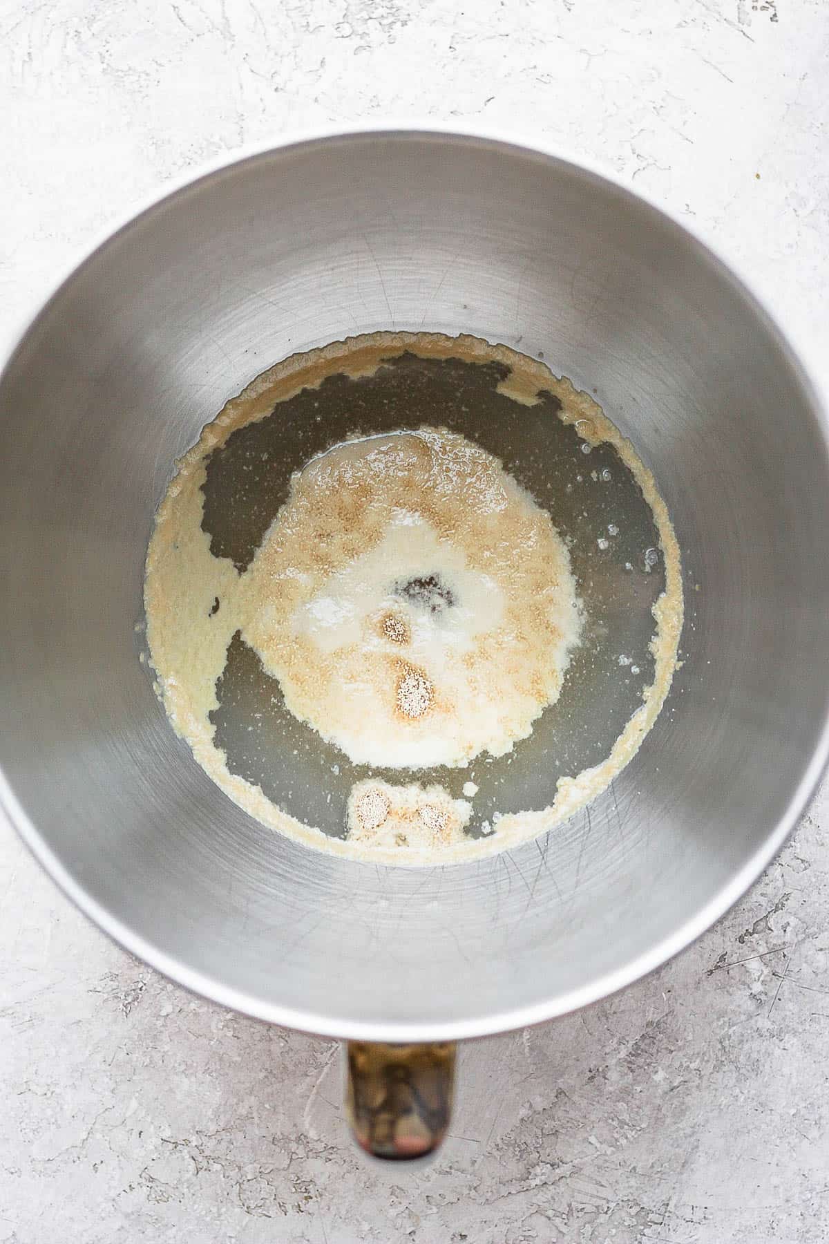 Warm water, instant yeast, and sugar in a bowl for a stand mixer.
