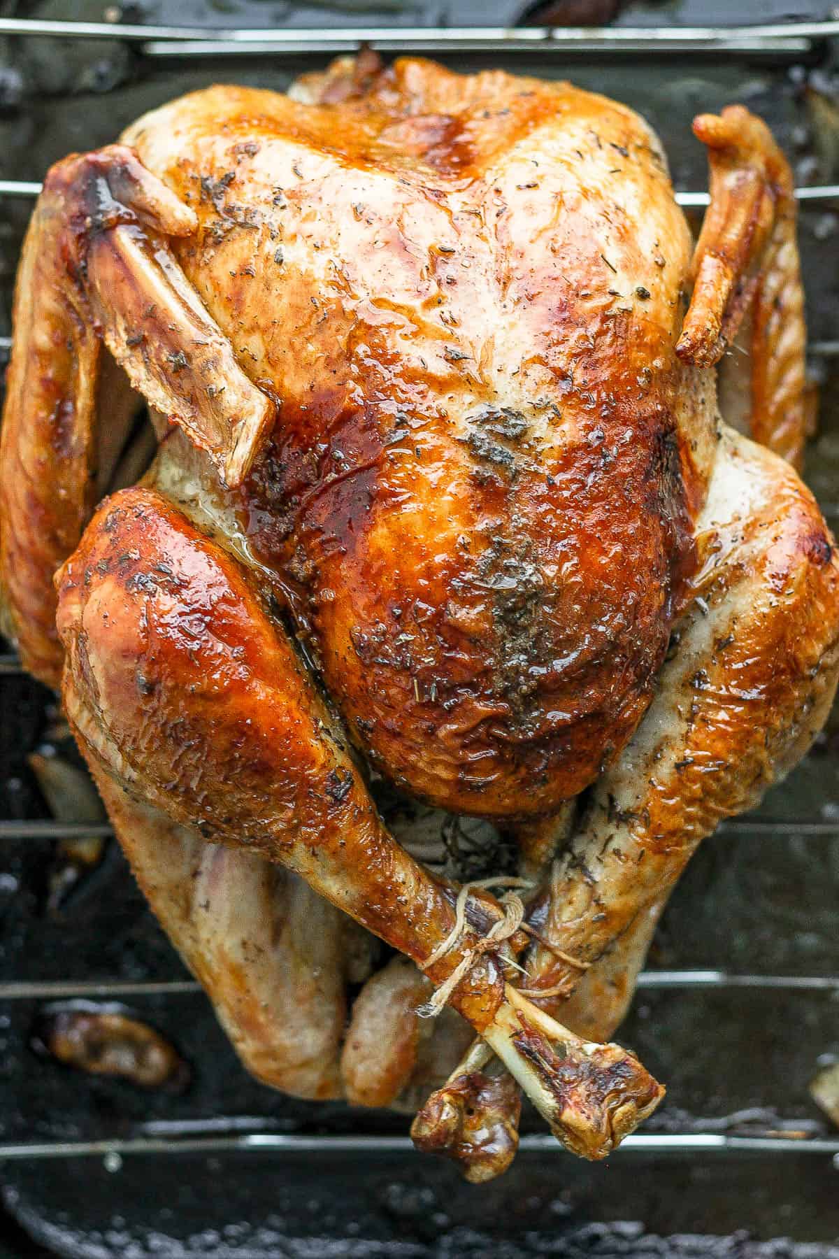 A fully roasted turkey on a roasting pan.