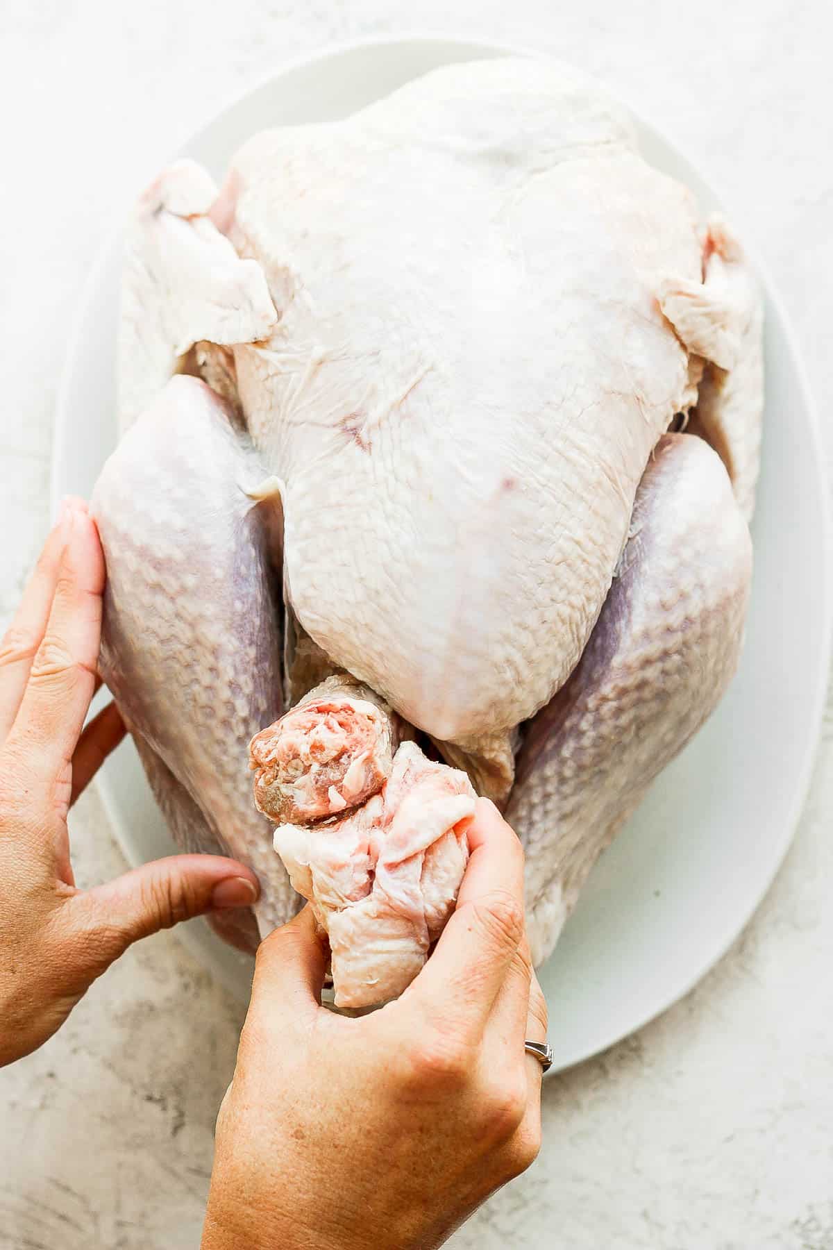 The neck being removed from the main cavity of the turkey.