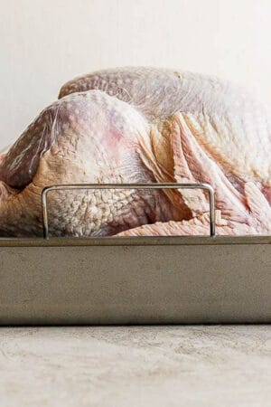 Complete how to thaw a turkey tutorial.