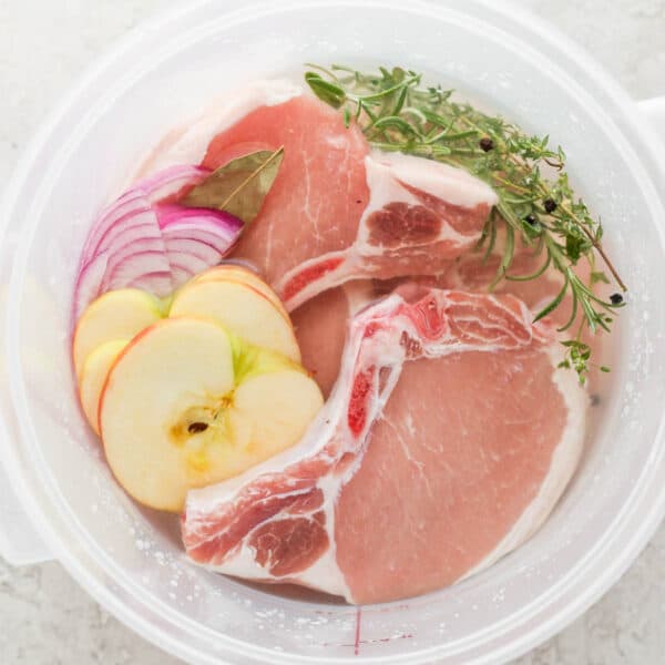 Top shot of food grade bucket with pork chops sitting in a pork chop brine with apples, onion and herbs.