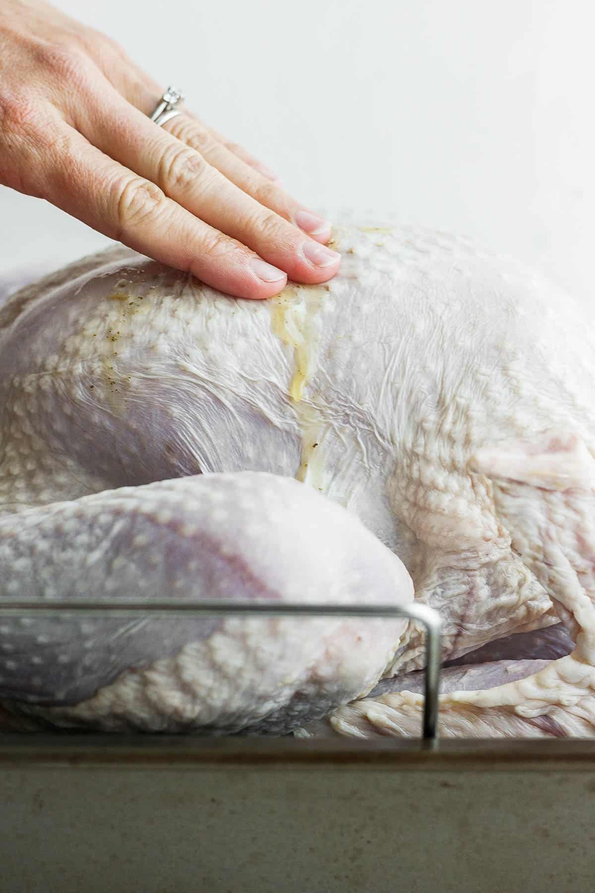 A hand rubbing the melted butter mixture into the turkey skin.