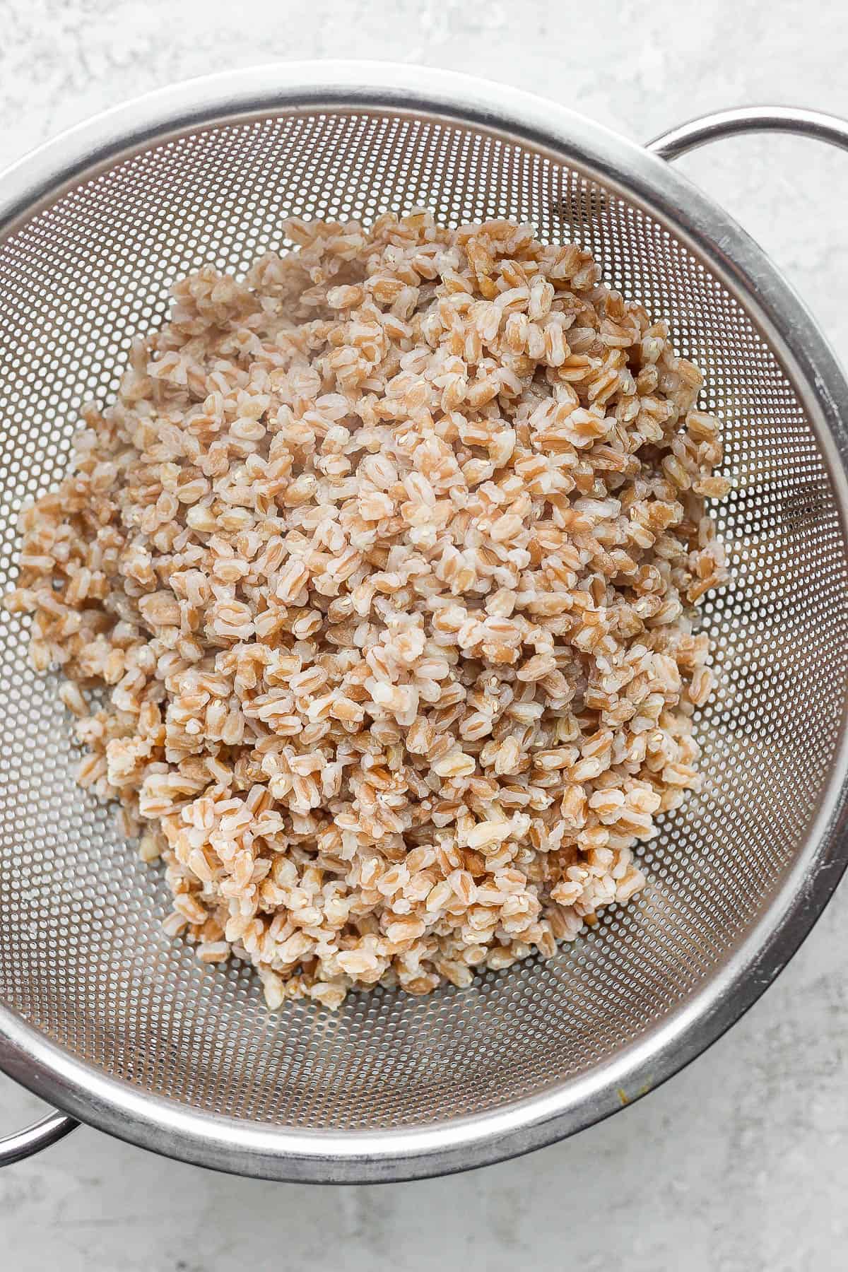 Cooked farro draining in a colander.