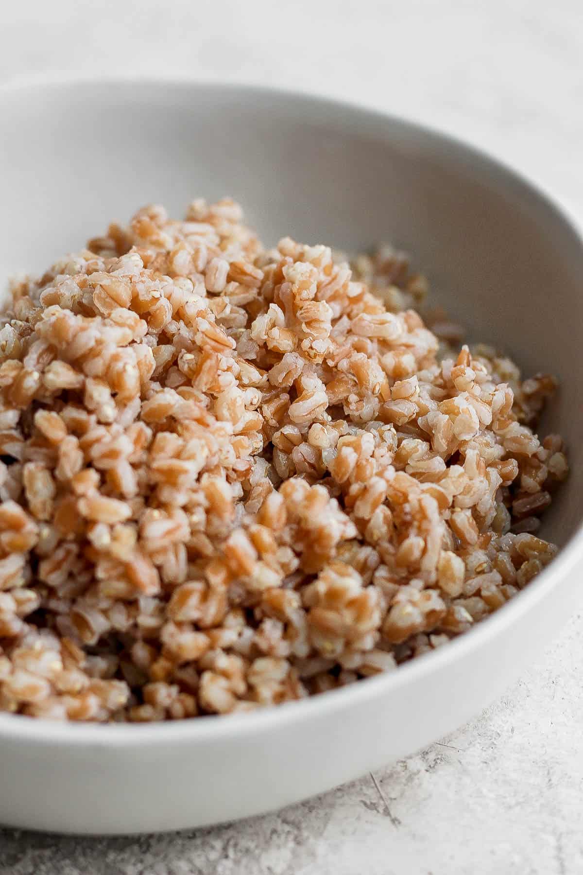Fully cooked farro in a white bowl.