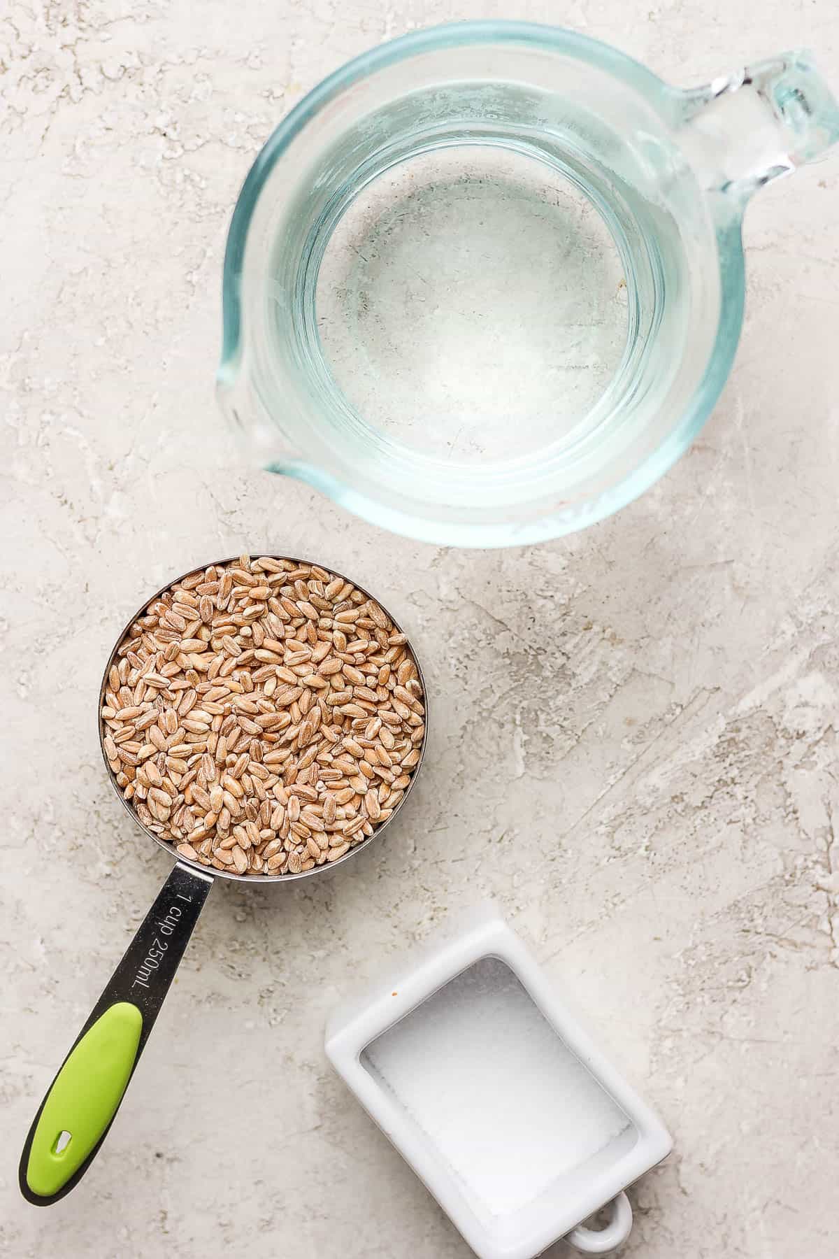 Water, farro, and salt in separate containers.