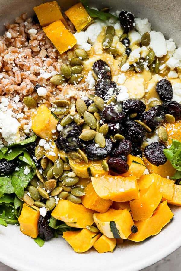 A bowl of fall farro salad with farro, arugula, delicata squash and goat cheese.